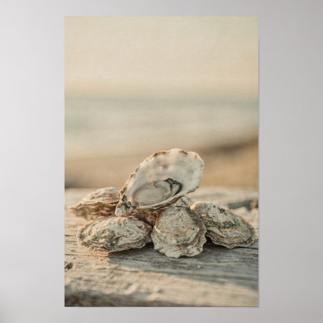 Oyster Shells Coastal and Ocean Art Print (Front)