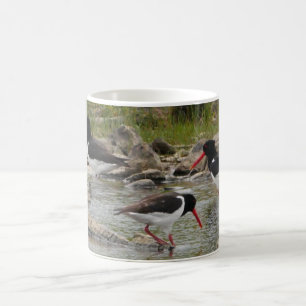 Oystercatchers Mug
