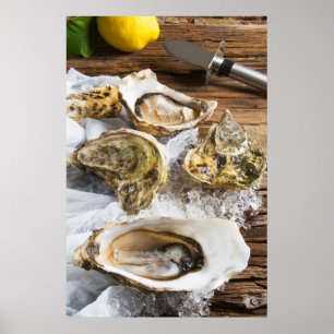 Oysters On Ice Poster