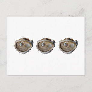 Oysters on the Half Shell Postcard