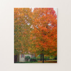 Ozark Arkansas. Jigsaw Puzzle