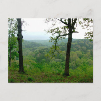 Ozark View Postcard