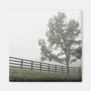 Ozarks Country Fog Magnet