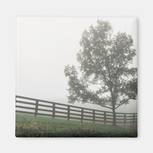 Ozarks Country Fog Magnet (Front)