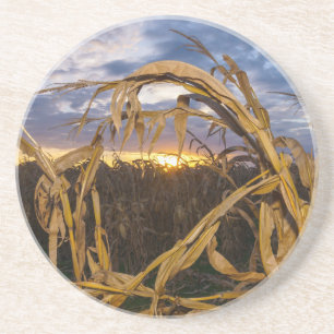 Ozarks Harvest Coaster