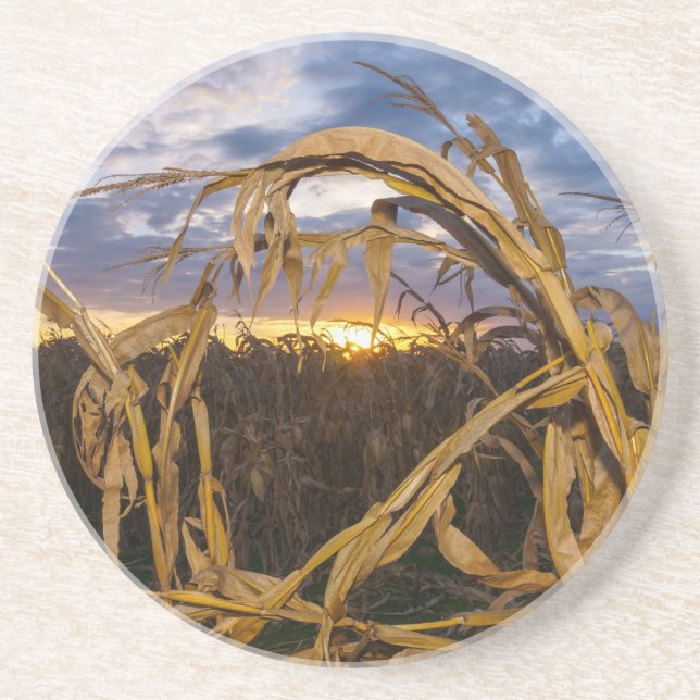 Ozarks Harvest Coaster (Front)