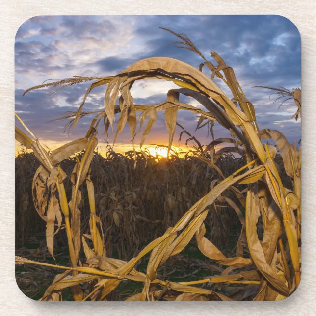 Ozarks Harvest Coaster (Front)