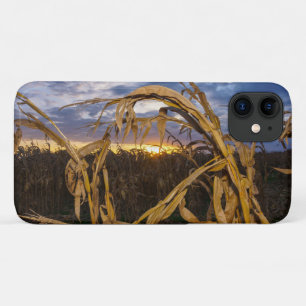 Ozarks Harvest iPhone Case