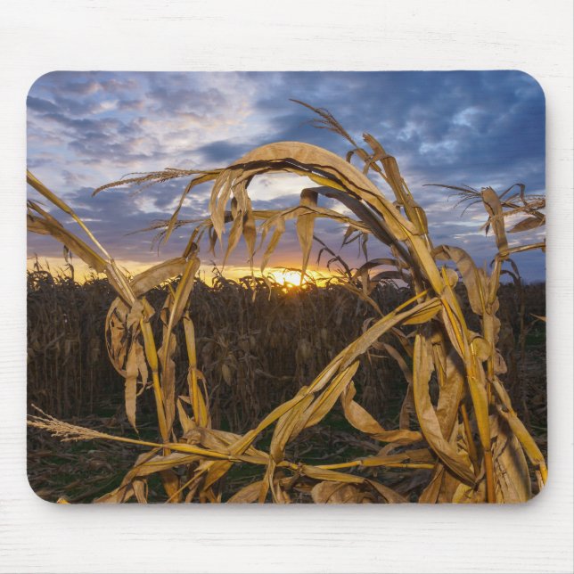 Ozarks Harvest Mouse Pad (Front)