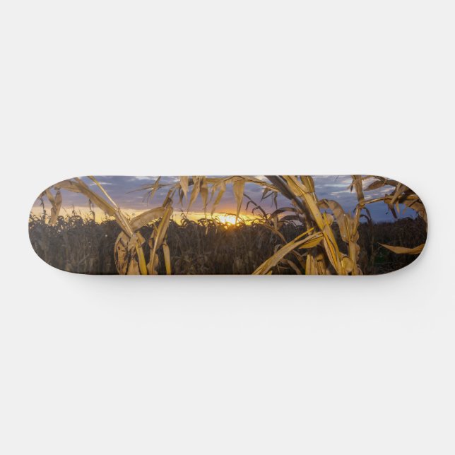 Ozarks Harvest Skateboard (Horz)