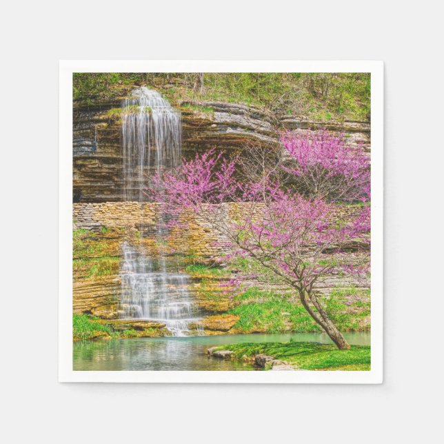 Ozarks Waterfall Spring Bluff Napkin (Front)