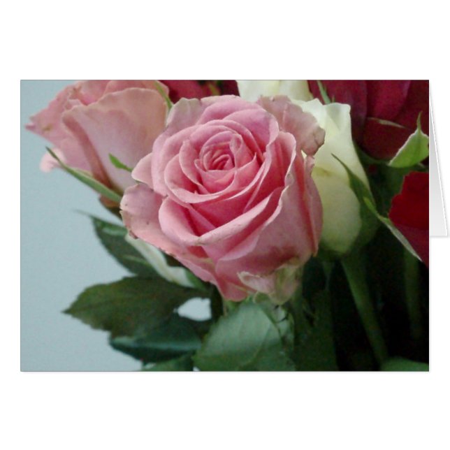 P2130014 (Front Horizontal)