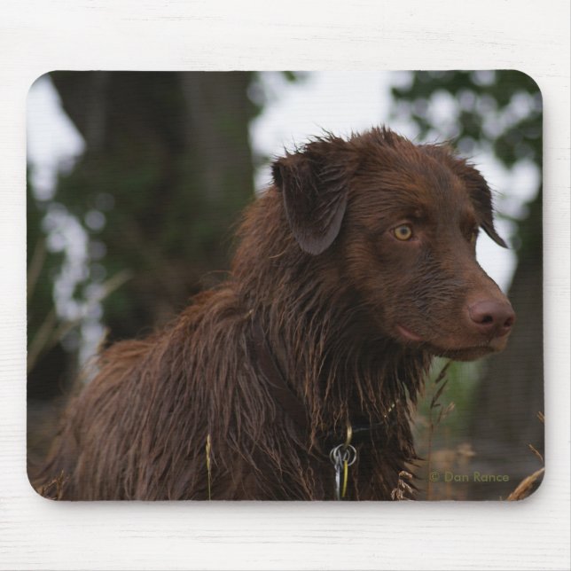 P2 Red Dog Sam Flatlandersam Mouse Pad (Front)