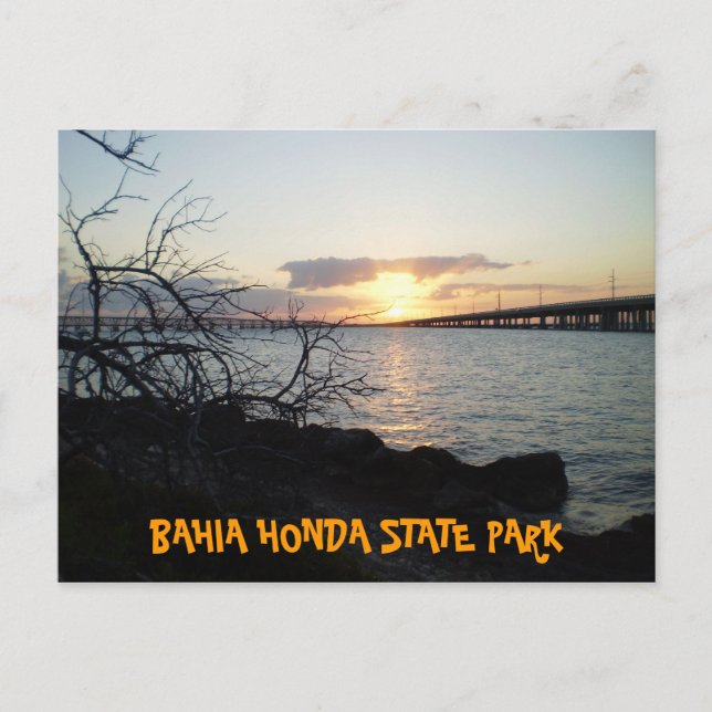 P3060038, BAHIA HONDA STATE PARK POSTCARD (Front)