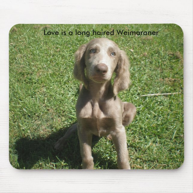 P3091298, Love is a long haired Weimaraner Mouse Pad (Front)