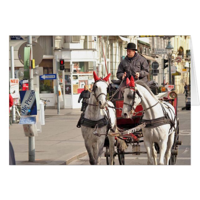 P3171014 (Front Horizontal)