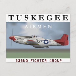 P51D "Red Tail" Mustang Postcard