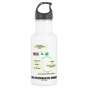 P53 Pathways Inside (Cell Molecular Biology) 532 Ml Water Bottle
