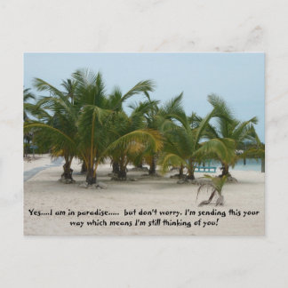 P6240208, Yes....I am in paradise..... but don... Postcard