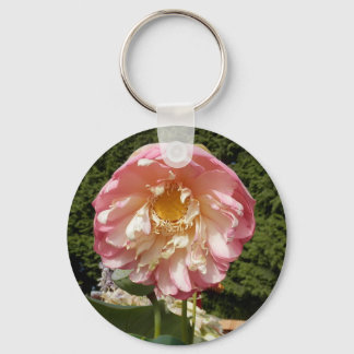 P7220107.JPG KEY RING