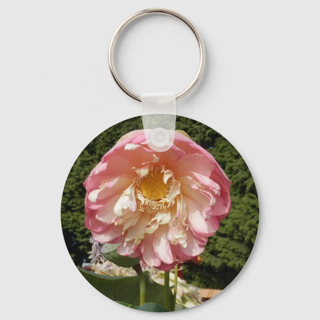 P7220107.JPG KEY RING (Front)