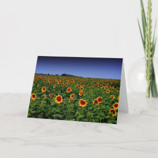 P7300068 CARD