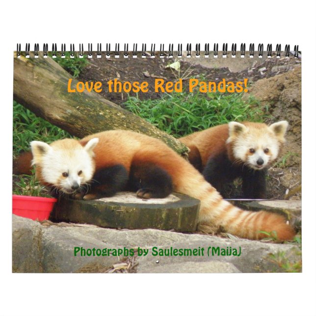 P8310607, Love those Red Pandas!, ... - Customised Calendar (Cover)