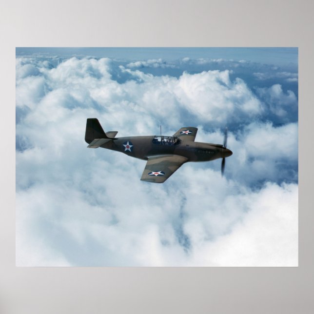 P-51 Mustang Poster (Front)