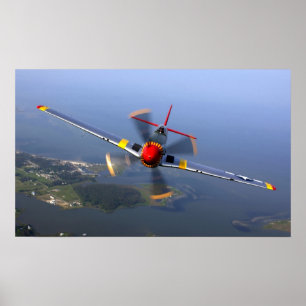 P-51 Mustang Poster