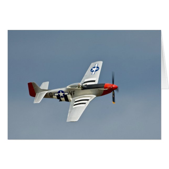 P-51D Mustang Fighter with D-Day markings flying (Front Horizontal)