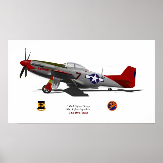P-51Dtuskegee Poster (Front)