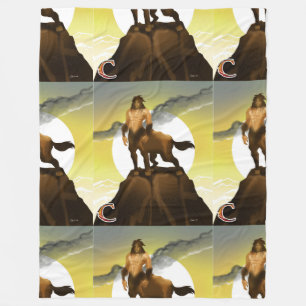 P is for Phoenix: C is for Centaur Blanket