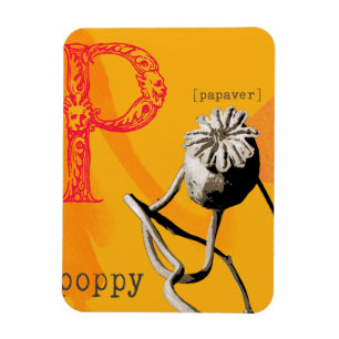 P is for poppy magnet
