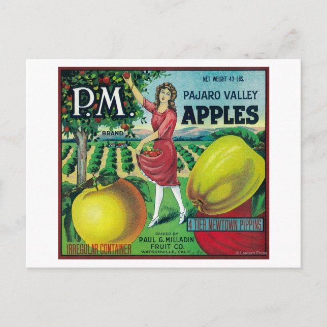 P.M. Apple Crate LabelWatsonville, CA Postcard (Front)
