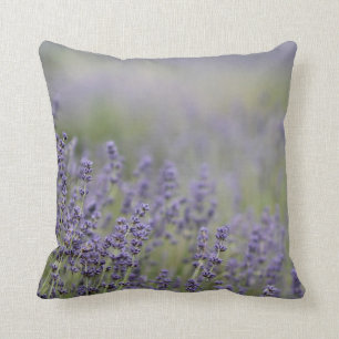 © P Wherrell Beautiful photo purple lavender fiel Cushion