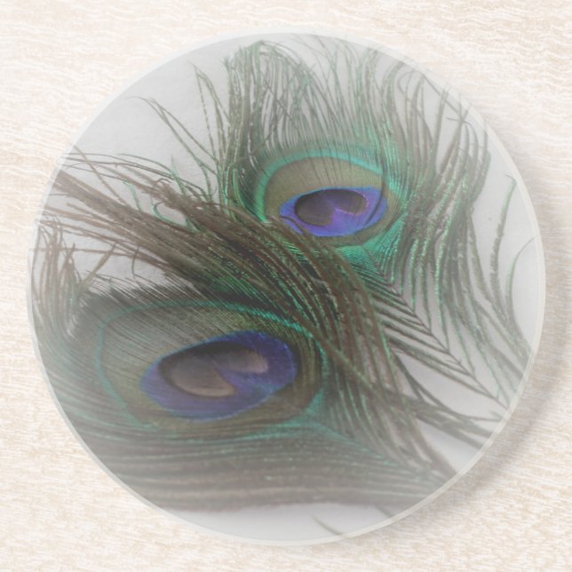 © P Wherrell Contemporary trendy peacock feathers Coaster (Front)