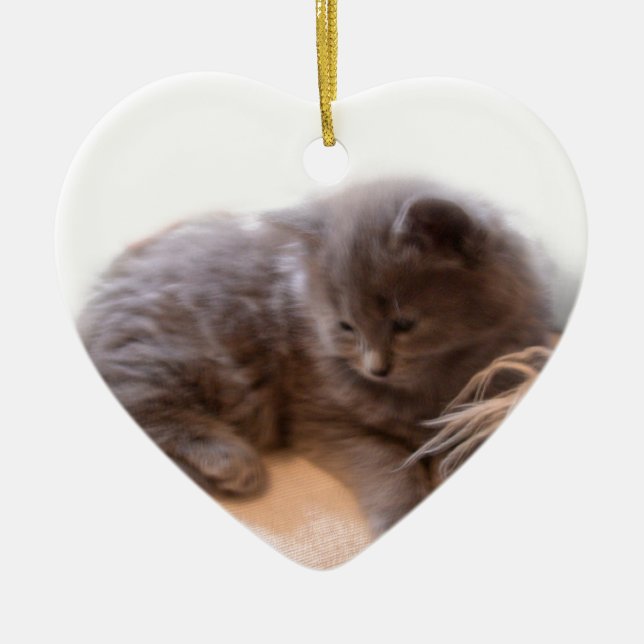 © P Wherrell Cute long haired grey kitten Ceramic Tree Decoration (Front)