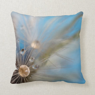 © P Wherrell Dandelion seeds water droplets Cushion