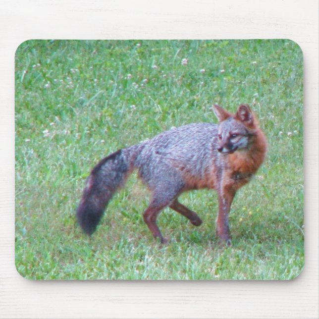 PA Grey Fox Mouse Pad (Front)