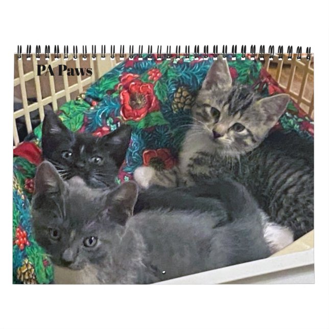 PA Paws 12 Month Personalised Calendar (Cover)