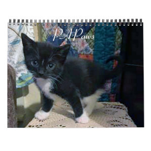 PA Paws 2 Year Calendar