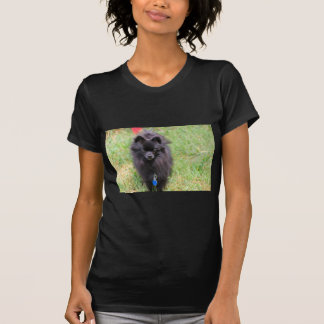 Pablo the Pomeranian T-Shirt