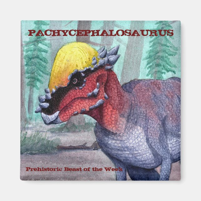 Pachycephalosaurus Magnet (Front)