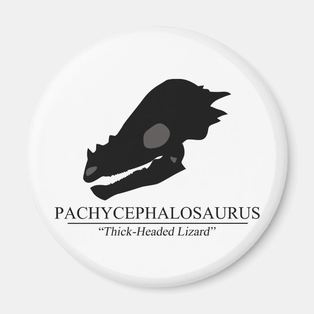 Pachycephalosaurus Skull Magnet (Front)