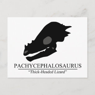 Pachycephalosaurus Skull Postcard