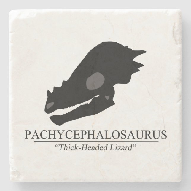 Pachycephalosaurus Skull Stone Coaster (Front)