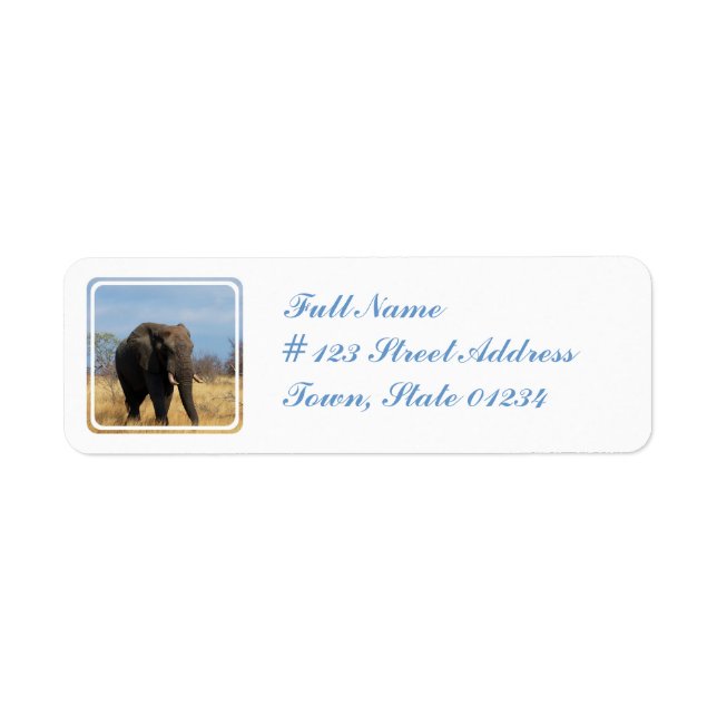 Pachyderm Mailing Label Return Address Label (Front)