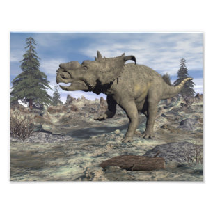 Pachyrhinosaurus dinosaur walking - 3D render Photo Print