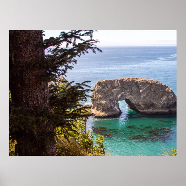 Pacic Northwest Print, Value Poster Paper (Matte) (Front)