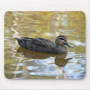 Pacific Black Duck Swimming on Golden Water Mouse Pad